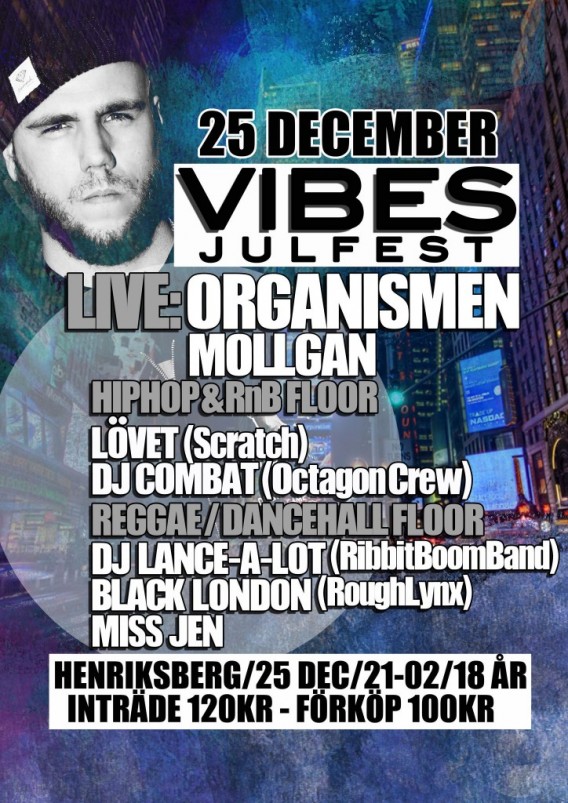 Vibes 25/12-2012