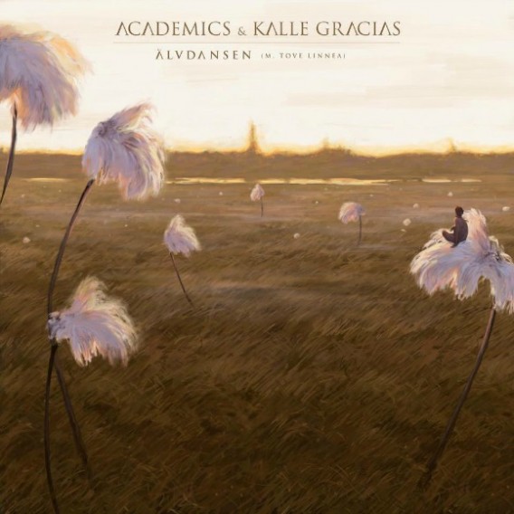 kalle-gracias-academics-alvdansen